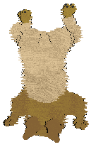 EC/Amphigory's Peachy Keen Jelly Bean — “Peach”