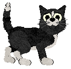 Calluna/Amenity's Spoonful of Sweetness at Alohomora — “Cafecito”