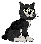 Profile image of Calluna/Amenity's Spoonful of Sweetness at Alohomora