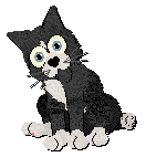 Profile image of Calluna/Amenity's Sweetened with Sunlight at Alohomora