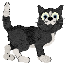 Calluna/Amenity's Sweetened with Sunlight at Alohomora — “Miel”