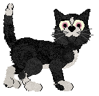 Amenity's Spiraling Skies — “Twister”