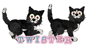 Profile image of Amenity's Spiraling Skies