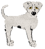 Poppyhill's Zinnia Skies — “Zinnia”