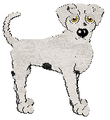 Profile image of Poppyhill's Zinnia Skies