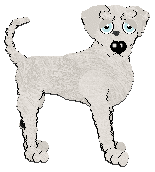 Profile image of Poppyhill's Ziggy Stardust