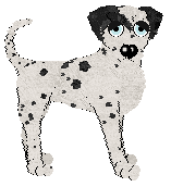 Poppyhill's A Bolt from The Blue — “Bluey”