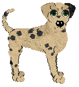 Poppyhill's Frangipane Fiore — “Frangipane”