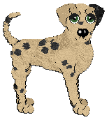 Profile image of Poppyhill's Frangipane Fiore