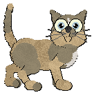 Profile image of Cargo/Calluna's Cape Cod Girl