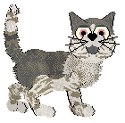 HK Blue Talisman — “Amberjack”