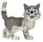 HK Blue Talisman — “Amberjack”