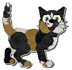 Profile image of Amenity My Sweetest Morphine