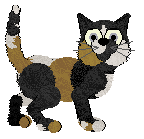 Amenity My Sweetest Morphine — “Rubino”