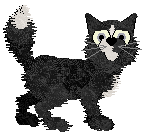 Sungraze Spiky Muse — “Terenzi”