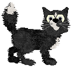 Sungraze Spiky Muse — “Terenzi”