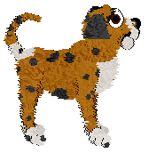 Profile image of Witz's Liefdadig at Wild Road