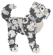 Xoops' Watching The Falling Snow at Wild Road — “Snowfall”