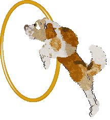 Cargo's A Sound Most Royal — “Kakaki”