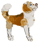 Cargo's A Sound Most Royal — “Kakaki”