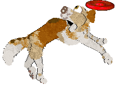 Cargo's A Sound Most Royal — “Kakaki”