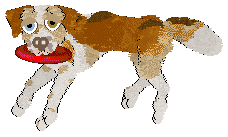 Cargo's A Sound Most Royal — “Kakaki”