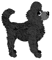 Profile image of LF/King's Fetching Fletcher