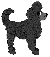 LF/King's Fetching Fletcher — “Fletcher”