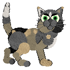 Sheba's Snapped Banjo — “Banjo”