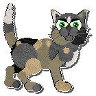 Profile image of Sheba's Snapped Banjo