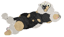 Perfume The Man, The Myth, The Legend — “Robot Vacuum”