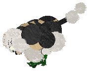 Perfume The Man, The Myth, The Legend — “Robot Vacuum”