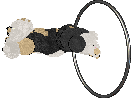 Perfume The Man, The Myth, The Legend — “Robot Vacuum”