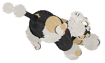 Perfume The Man, The Myth, The Legend — “Robot Vacuum”