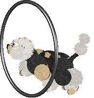 Perfume The Man, The Myth, The Legend — “Robot Vacuum”