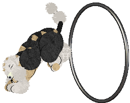 Perfume The Man, The Myth, The Legend — “Robot Vacuum”