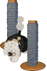 Perfume The Man, The Myth, The Legend — “Robot Vacuum”