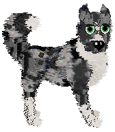 Sungraze 40 Inch Plasma — “Plasma”