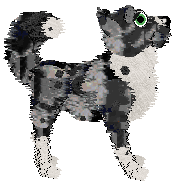 Sungraze 40 Inch Plasma — “Plasma”