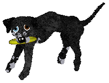 Ephemera Free In The Knowledge — “Lassie”