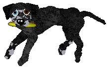 Ephemera Free In The Knowledge — “Lassie”