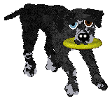 Ephemera Free In The Knowledge — “Lassie”