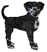 Ephemera Free In The Knowledge — “Lassie”