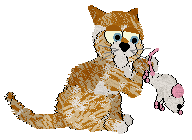 Calluna's Sardonic Tiger — “Calvin”