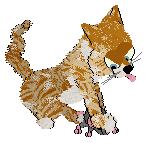 Calluna's Sardonic Tiger — “Calvin”