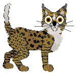 EC/Calluna's Prince of Caracas — “Djinn”