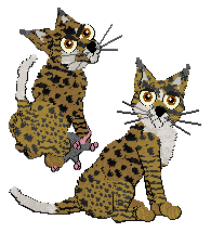 Profile image of EC/Calluna's Prince of Caracas