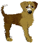 Poppyhill's Sunshine on Leith — “Paisley”