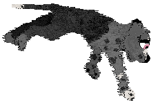 Poppyhill's Cloudy Sake — “Nara”