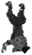 Poppyhill's Cloudy Sake — “Nara”